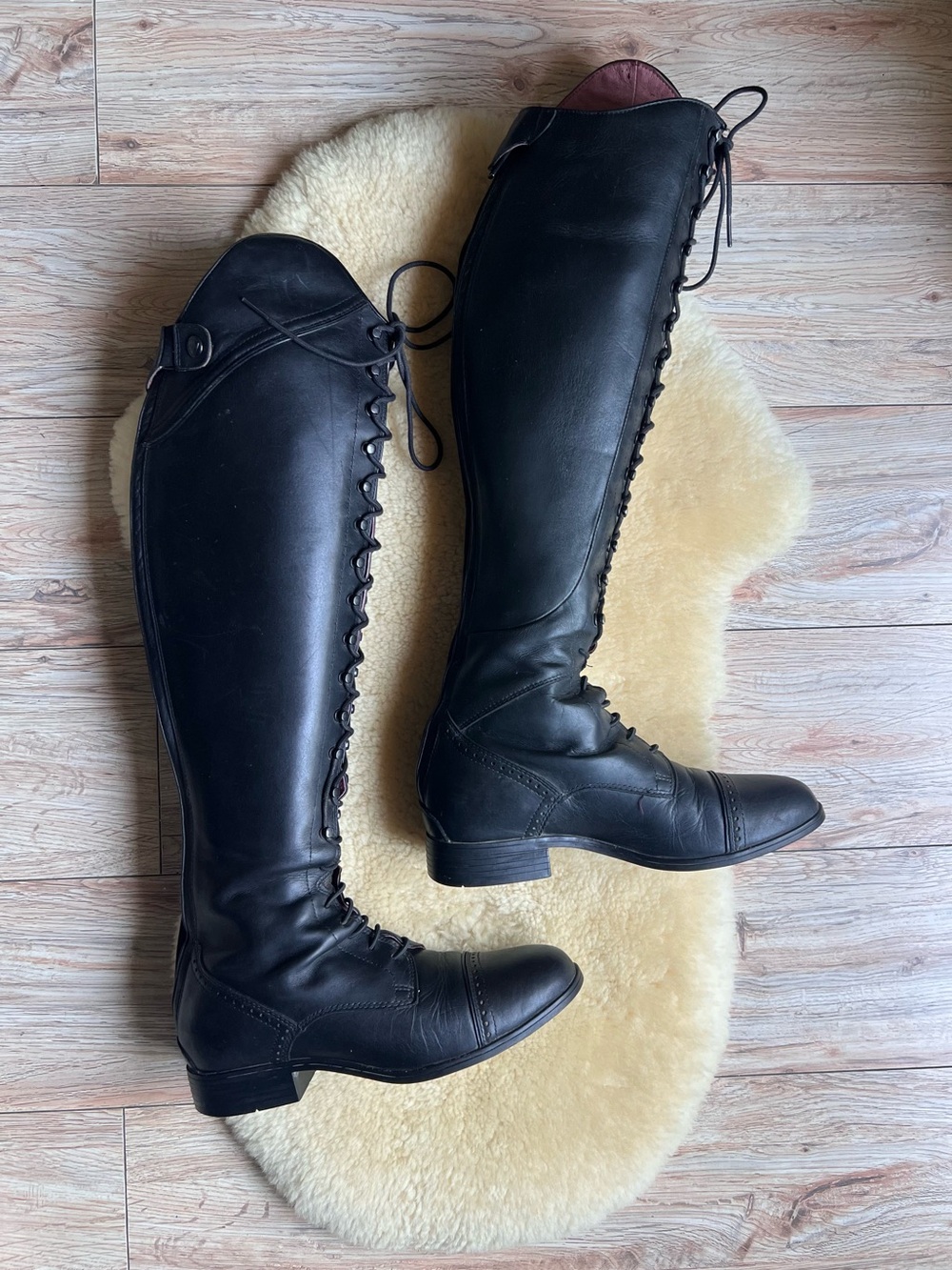 Ariat Women’s Capriole Tall Riding Boots 7.5 B  Black Long Lace Up Zipper Horse